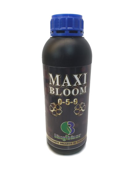 Maxi Bloom