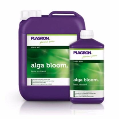 Alga Bloom