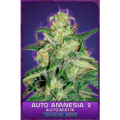 Auto Amnesia