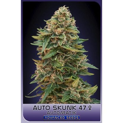 Auto Skunk 47