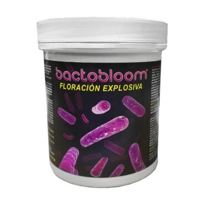 Bactobloom - Imagen 2