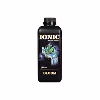 BLOOM 1L IONIC