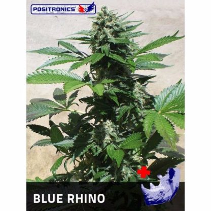 Blue Rhino