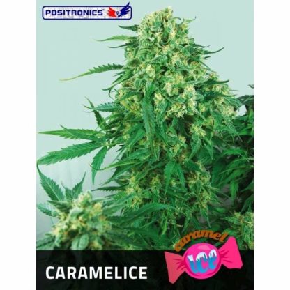 Caramelice