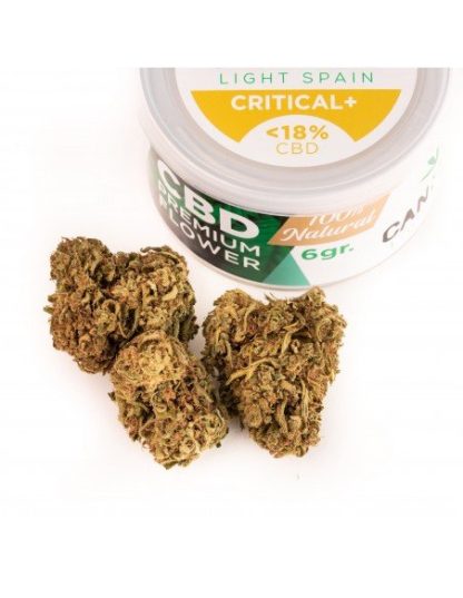 Critical + CBD Cannabis Light Spain