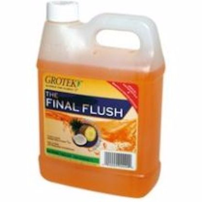 FINAL FLUSH PIÑA 1L