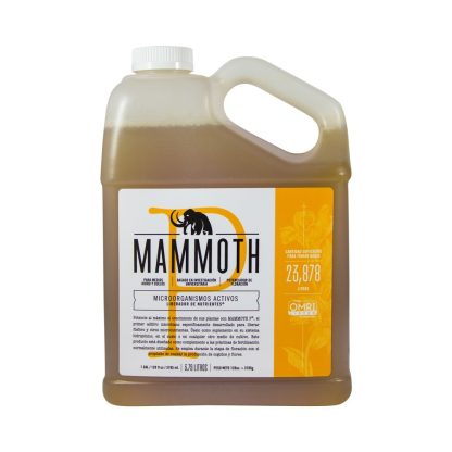 Mammoth P 1Gallon 3.8L