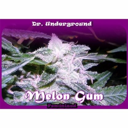 Melon Gum