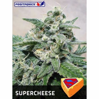 Super Cheese