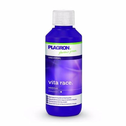 Vita Race