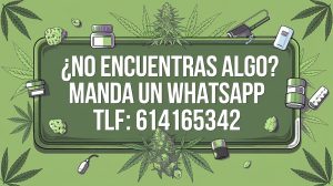 Whatsapp3